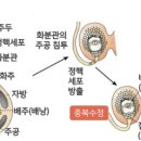 종자기사 필답 요약 (식물육종학)