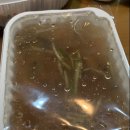 푸른바다찜탕일산점 이미지