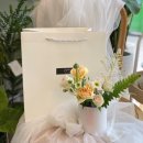 라피움 이미지