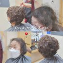 하이모 레이디 후관리 후기
