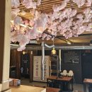 삼화렌트카 이미지