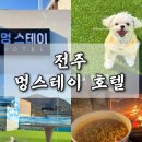 전주애견동반호텔 강아지랑전주여행 멍스테이호텔