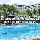 코타키나발루 마젤란 수영장 헬스장 수트라 하버 리조트 '마리나 클럽' 후기