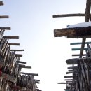 황태덕장 이미지