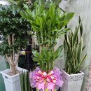 인동36길-1 이미지