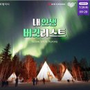 옐로우나이프