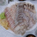 노량진수산시장 추천 친절한 횟집 충남미림 초장집 끄트머리 내돈내산 후기