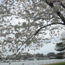 서쪽아이 이미지