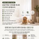 뜰40호 | 세종커튼 세종커텐 세종블라인드 신혼부부 리모델링 이사 커튼블라인드 깔끔하게 꾸며진 커튼의 완성