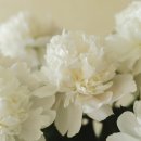 휴앤유병원장례식장 이미지