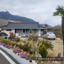 마루부동산중개사무소 이미지