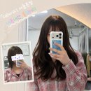 [서울 붙임머리 내돈내산 후기] 더레이디 서울 본점 리뷰(+1개월 후 후기)