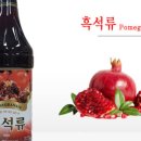 월드씨앗건강 이미지