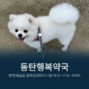 동탄행복약국 이미지