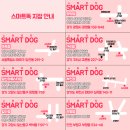 스마트독 이미지