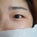 몽브로우
