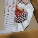 선홍농장 이미지