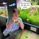 워터힐링 | 대흥동 물멍 카페 비워터 | 힐링 끝판왕 수족관 카페 실내 분위기 후기(스압주의)