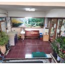 사파동122 이미지