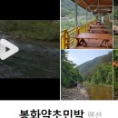 제일약초능이백숙 이미지