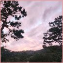 유알SUITE풀빌라 | 원주 독채 풀빌라에서 느낀 아늑함과 프라이빗한 힐링 여행 후기