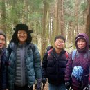 거산목장 이미지