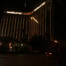 커션 - 익산시 익산대로54길 88 | 머라이어캐리 라스베가스 공연 후기 (Mariah Carey , The Butterfly Returns at Caesars palace 2019 )