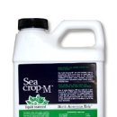 모롱골농장 이미지