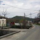 금산군(다복교) 네이버블로그