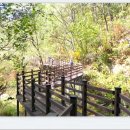 선비 코스 이미지