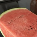 맛쟁이상회 네이버블로그
