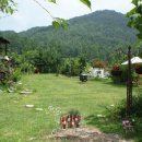 솔치주유소 이미지