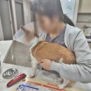 비타동물의료센터 이미지