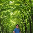 용천사
