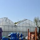 오시롬 농장 | 희귀식물 농장, 가든킹 하우스 방문 후기🪴👑