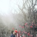 스튜디오제주 이미지