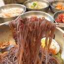 판교 아브뉴프랑 점심 맛집｜함흥냉면전문 오장동흥남집