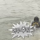 멋쟁이세탁소 이미지