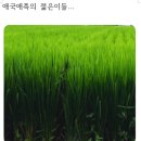 '26. 08. 07(금) 출석부(애국애족의...) 이미지
