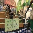 푸르지엔 이미지