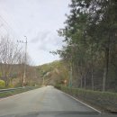 삼성 비상분리 2호(삼성 3호) | 군위 장곡자연휴양림 숲속의 집 10호 후기