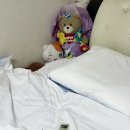 레노마홈부산 | 동대문 이불시장 지인홈/지인침구/레노마홈 구매후기