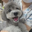 김s 동물병원 이미지