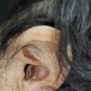 남들경로당 이미지