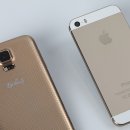 Gold Hands 이미지