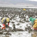 자연바다식품 이미지