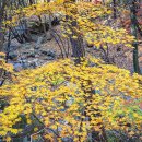 문동휴양지 이미지