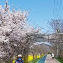 난타교실 A 이미지