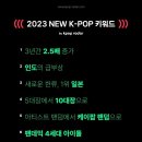뉴케이팝 마이데일리