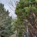 노포역 입구(3) 이미지